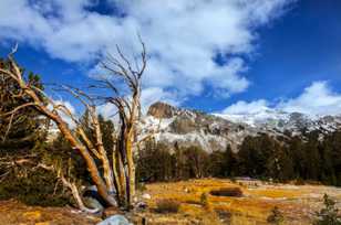 Tioga Pass and Mt. Dana-8947.jpg